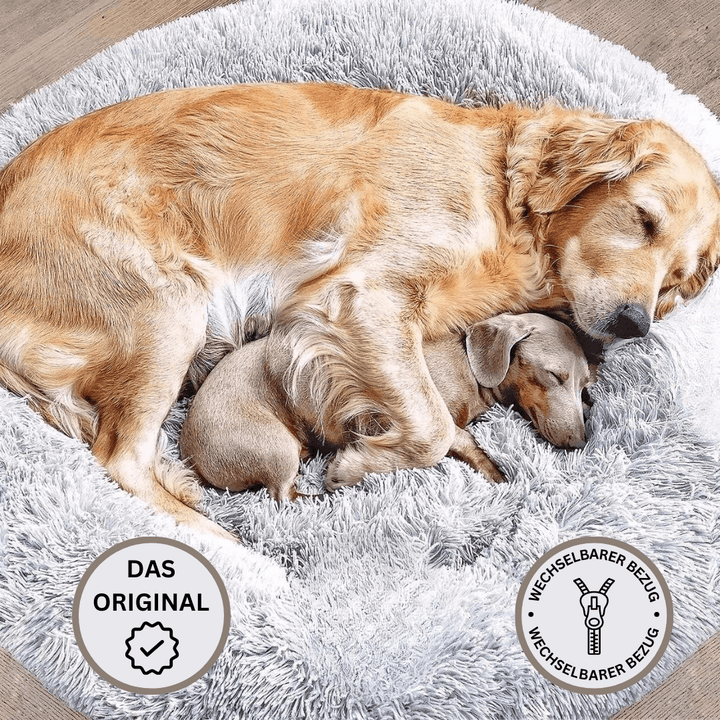 WolkySleep - For a healthy sleep