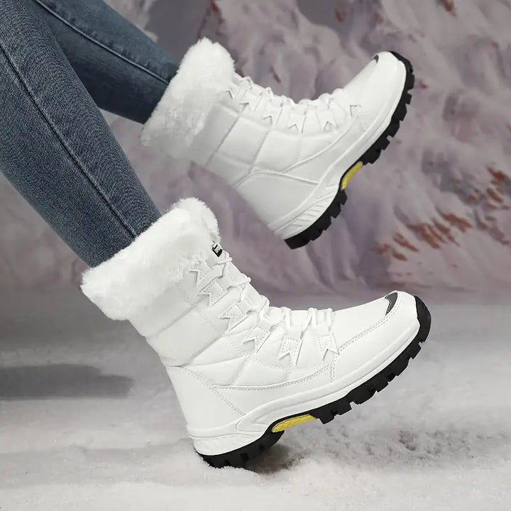 Polar Chic