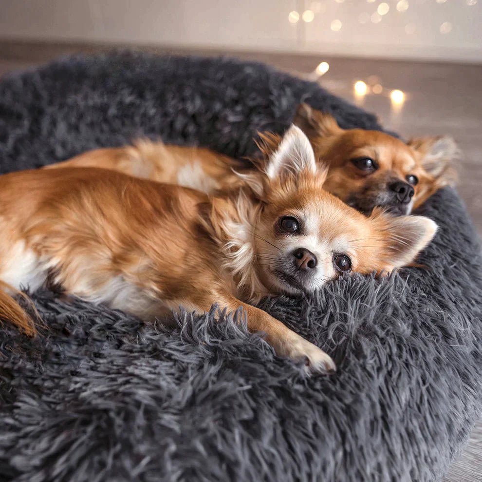 WolkySleep - For a healthy sleep