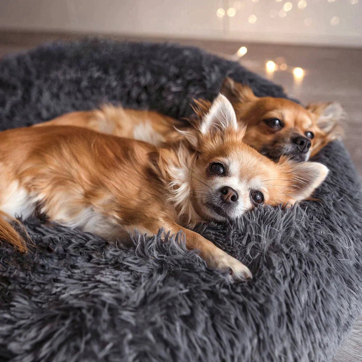 WolkySleep - For a healthy sleep